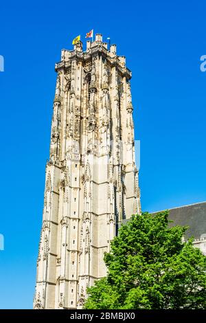 Mechelen, Belgien: Der Turm der Kathedrale von Saint Rumbold Stockfoto