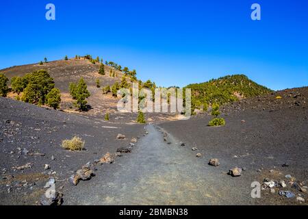 Vulkanlandschaft entlang der Ruta de los Volcanes, La Palma, Kanarische Inseln, Spanien, Europa. Stockfoto