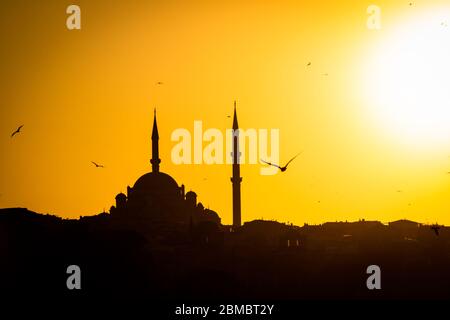 Fatih Moschee und Möwen bei Sonnenuntergang Stockfoto