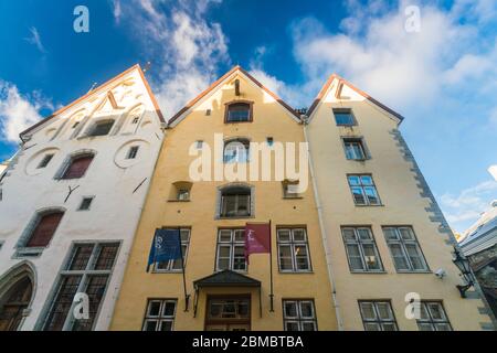 Die drei Brüder Gebäudekomplex in der Altstadt von Tallinn Stockfoto