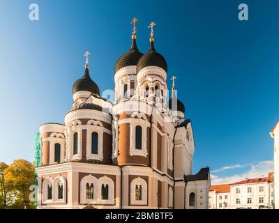 Alexander-Newski-Kathedrale, Nevski katedraal russisch in der Altstadt Stockfoto