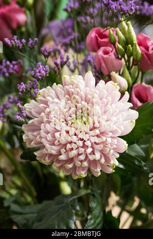 Eine Anordnung der Herbst Blumen. Stockfoto