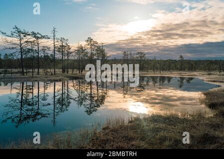 See bei Viru Raba oder Moorsumpf bei Lahemaa national park im Herbst Stockfoto