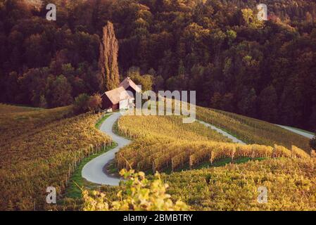 Berühmte herzförmige Weinstraße in Slowenien, Ansicht von Spicnik in der Nähe von Maribor. Natürliche Landschaft landwirtschaftlichen Hintergrund. Stockfoto