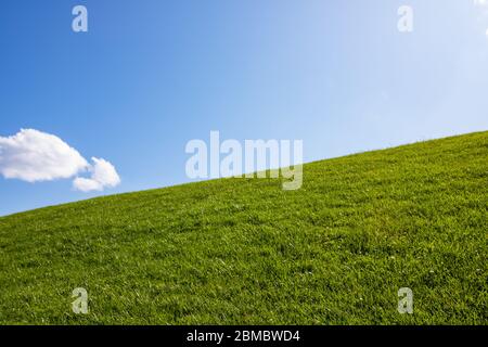 Wiese und Wolke Szene wie Windows xp Wallpaper Stockfoto
