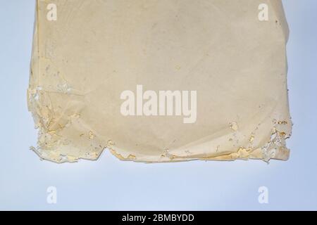 Papier mit Silberfisch verschluckt. Spuren von zertrümmert Silberfisch auf Vinyl-Umschlägen. Lepisma Stockfoto