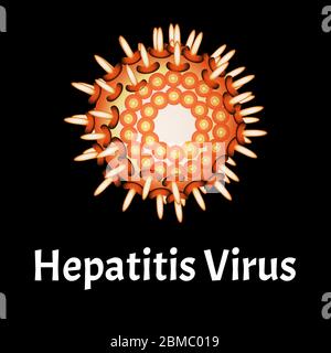 Struktur des Hepatitisvirus. Virusinfektion Hepatitis. Sexuell übertragbare Krankheiten. Infografiken. Vektordarstellung auf isoliertem Hintergrund. Stock Vektor