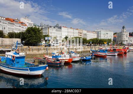 Fischerboote in Darsena Marina, La Coruna Stadt, Galicien, Europa Stockfoto