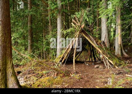 Zweige, Äste und Baumstämme stapelten sich zusammen, um auf einem Survival and bushcraft Course in British Columbia, Kanada, einen Waldschutz zu errichten Stockfoto