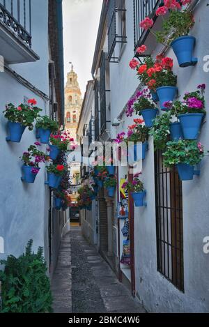Foto der Calleja de las Flores in Cordoba Spanien Stockfoto