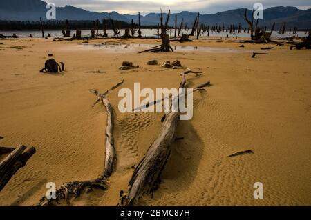 Landschaftlich schöne Aussicht mit abgestorbenen Bäumen Stockfoto