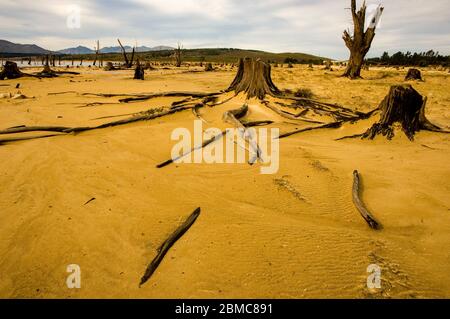 Landschaftlich schöne Aussicht mit abgestorbenen Bäumen Stockfoto