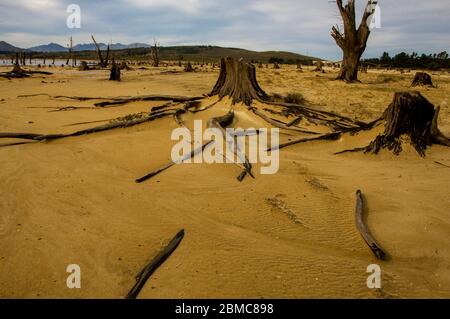 Landschaftlich schöne Aussicht mit abgestorbenen Bäumen Stockfoto