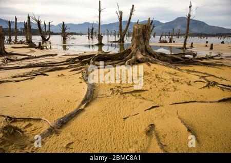 Landschaftlich schöne Aussicht mit abgestorbenen Bäumen Stockfoto