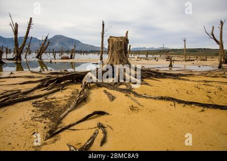 Landschaftlich schöne Aussicht mit abgestorbenen Bäumen Stockfoto