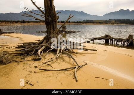 Landschaftlich schöne Aussicht mit abgestorbenen Bäumen Stockfoto