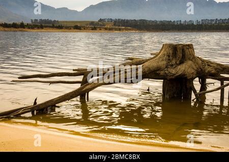 Landschaftlich schöne Aussicht mit abgestorbenen Bäumen Stockfoto