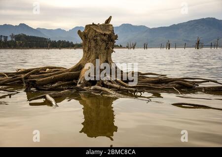 Landschaftlich schöne Aussicht mit abgestorbenen Bäumen Stockfoto