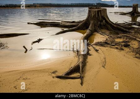 Landschaftlich schöne Aussicht mit abgestorbenen Bäumen Stockfoto