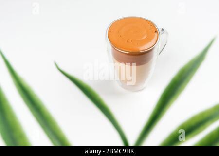 Dalgona Kaffee auf weißem Hintergrund durch eine Pflanze. Stockfoto