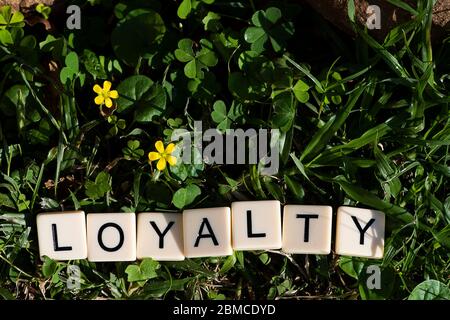 Loyalität in Blockbuchstaben Stockfoto