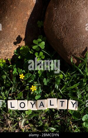 Loyalität in Blockbuchstaben Stockfoto