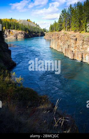 Der Yukon River, der durch den Miles Canyon fließt, in der Nähe von Whitehorse, Yukon Territories, Kanada. Stockfoto