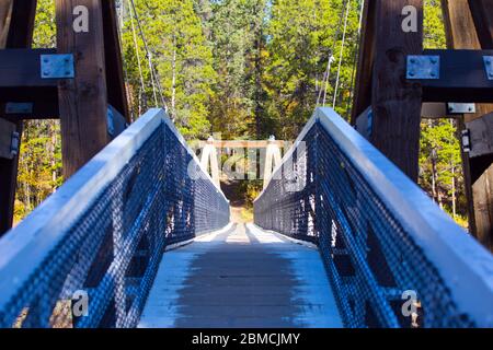 Robert Lowe Hängebrücke über den Yukon River am Miles Canyon, außerhalb von Whitehorse, Yukon Territories, Kanada. Stockfoto