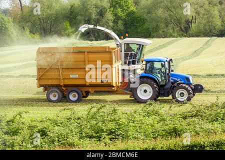 Landwirt sammelt Gras für Silage in der Cheshire Landschaft Ackerland fahren einen blauen New Holland Traktor t6 140 und ein Claas Jaguar 840 Erntemaschine Stockfoto