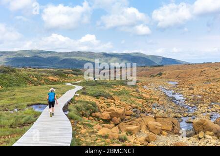 Wanderer in den Tablelands, Gros Morne National Park, in der Nähe von Woody Point, Neufundland, Kanada Stockfoto