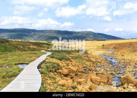 Boardwalk auf tableland Trail, Gros Morne National Park, Neufundland und Labrador, Kanada Stockfoto