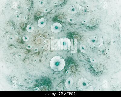 Abstrakt fraktal Hintergrund schöne Spirale Computer-Bild. Schöner abstrakter Hintergrund für Album, Poster, Booklet. Fraktale digitale Grafik für cr Stockfoto