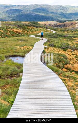 Boardwalk auf tableland Trail, Gros Morne National Park, Neufundland und Labrador, Kanada Stockfoto