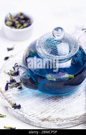 Blauer Tee Schmetterlingserbsenborte oder Anchan Stockfoto