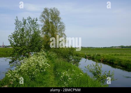 Kleiner Fußweg, Tiendweg, bei Groene Hart, Holland Stockfoto