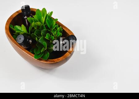Draufsicht auf drei Flaschen ätherisches Öl und eine Holzvase Stockfoto