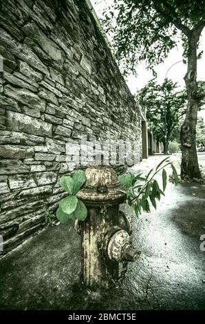 Der Hydrant kann nach Ablauf seiner Zeit eine Lebensdauer erreichen Stockfoto