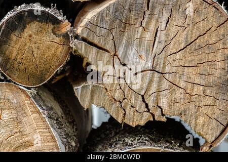 Ansicht der Enden der übereinander liegenden Schnittbirkenstämme. Holz für den Ofen und Kamin geerntet. Struktur und Risse aus getrocknetem Holz. Holz Stockfoto