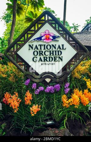 National Orchid Garden in den Singapore Botanic Gardens, Singapur, Republik Singapur Stockfoto