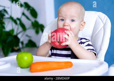 Babynahrung. Kleine süßeste kaukasische Kind essen großen roten Apfel. Blick auf Kamera auf Hochstuhl. Frisches Gemüse und Obst. Neu geborene Kleinkinder Stockfoto