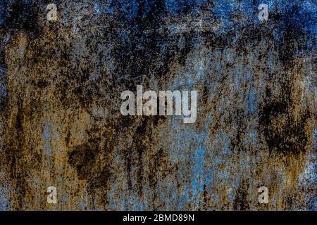 Aufnahme von rauen Algen Textur Hintergrund an der Wand. Horizontale Aufnahme. Stockfoto