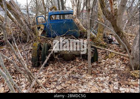 Verlassene LKW im Wald Stockfoto