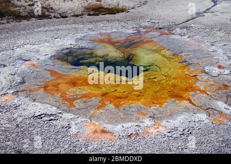 Orangefarbene Quellbecken im Yellowstone National Park Stockfoto