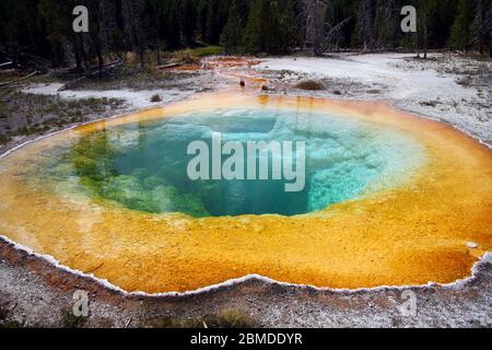 Der unglaubliche Morning Glory Pool Stockfoto