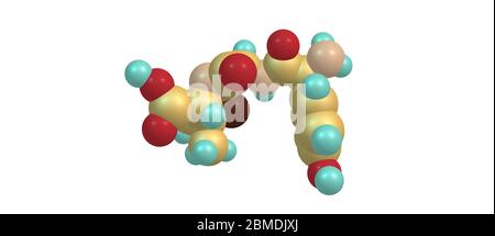 Amoxicillin ist ein Antibiotikum, das für die Behandlung einer Reihe von bakteriellen Infektionen nützlich ist: Mittelohrinfektionen, Halsstrepfen, Lungenentzündung, Hautinfektion Stockfoto