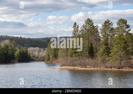 Immergrüner Wald am Ufer eines kleinen Sees im Norden von Ontario mit schönem blauen bewölkten Himmel im Frühling Stockfoto