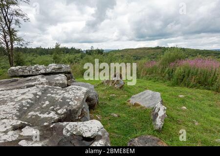 Cavan Burren Park, Geopark, Blacklion, Irland, Stockfoto