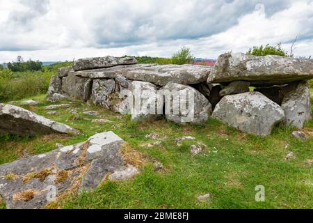 Cavan Burren Park, Geopark, Blacklion, Irland, Stockfoto