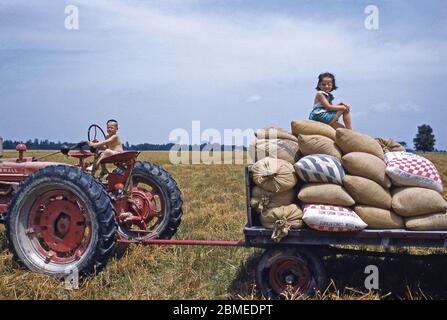 Zwei Kinder spielen in der Sonne auf einem Traktor und Anhänger auf dem Familienbetrieb, USA in den frühen 1950er Jahren. Die roten und blauen Säcke auf dem Anhänger enthalten 'Chow Chow Concentrate', ein Futtermittel-Supplement. Stockfoto