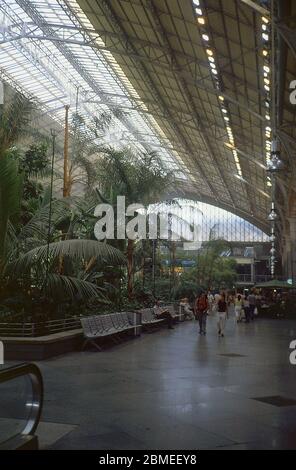 VESTIBULO CENTRAL CON PLANTAS DE LA ESTACION DE ATOCHA - JARDIN TROPICAL. Autor: RAFAEL MONEO. LAGE: ESTACION DE ATOCHA. MADRID. SPANIEN. Stockfoto